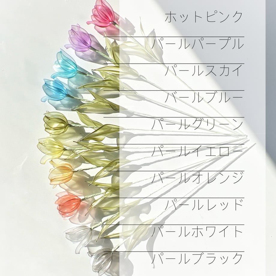 66eda804324c3619e2510593