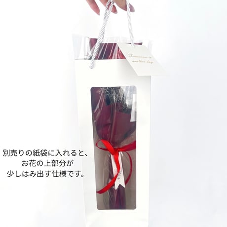 カーネーションの花束│華やかスタイル b2058