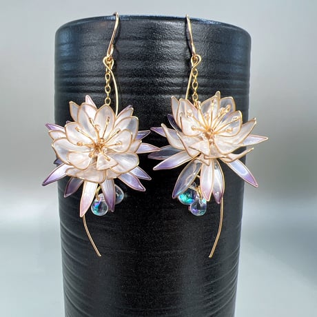 CATEGORY 月下美人 | Cuore