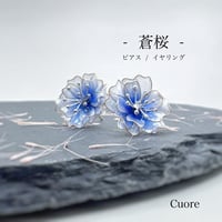 蒼桜 ポストピアス