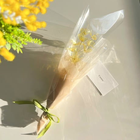 【単品販売】ミモザ　１本　f3005