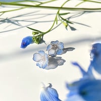 ネモフィラ スタッドピアス