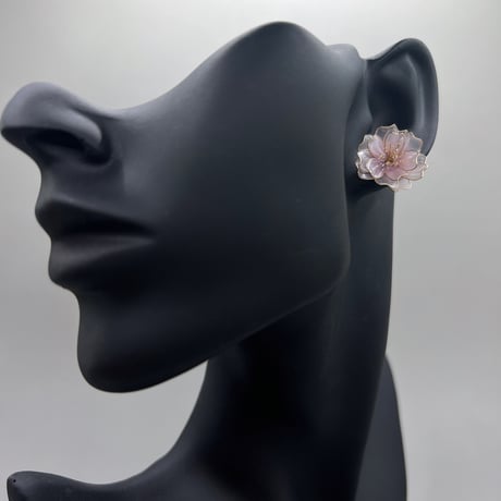桃桜(スタッド) p1100