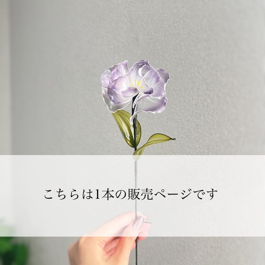 67dbf276401c31da77cb75b3
