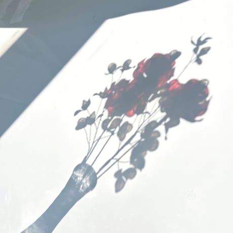 【お得なブーケ】薔薇とかすみ草のブーケ（レッド）6本セット　b2036