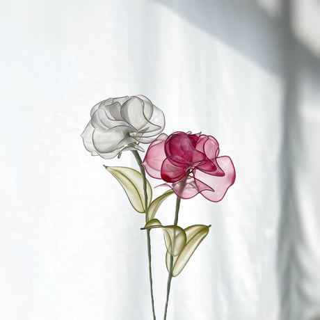 【単品販売】薔薇 ホットピンク/パール　※カラー選択必須 ※1本の販売価格です