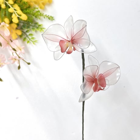 【単品販売】胡蝶蘭 1本 f3080