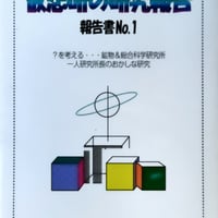 仮想研の研究報告 報告書No.1 著者：潮京