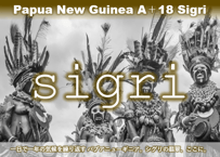 パプアニューギニア🇵🇬   A+18 シグリ農園　ウオッシュド 【New Crop!】200g