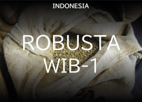 インドネシア🇮🇩 WIB-1 ロブスタ プライベート M　ハニー　200g