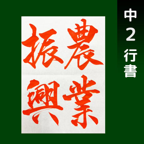 JA共済書道コンクール【中１〜中３ お手本】
