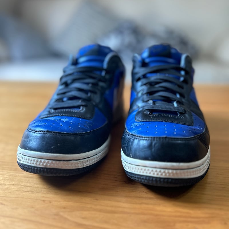 Nike Zoom Terminator Low Blue Georgetown DVLS |