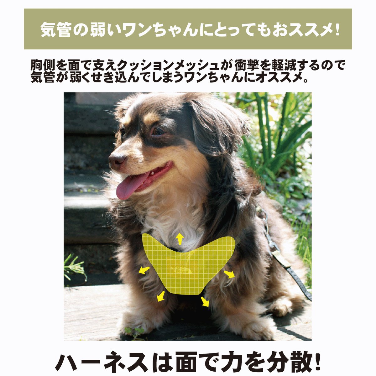 AF0225 DOG STYLISH BASICカモフラソートフルハーネスリード 犬 小型犬