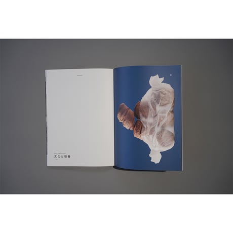 .OWT. "issue06"
