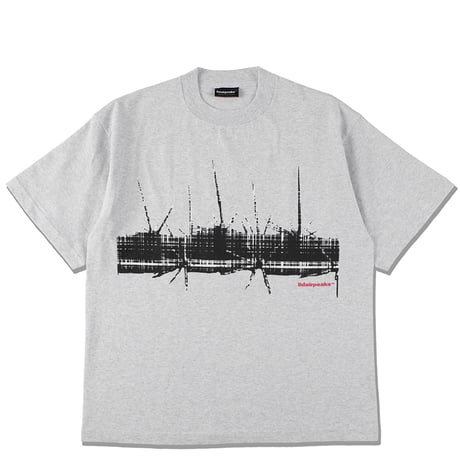 lidairpeaks"PLAID CACUTAS TEE"［ASH］