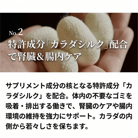 しるるんピューレ チキン