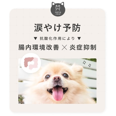 SILKFULL シルクフル 犬用サプリ 各種