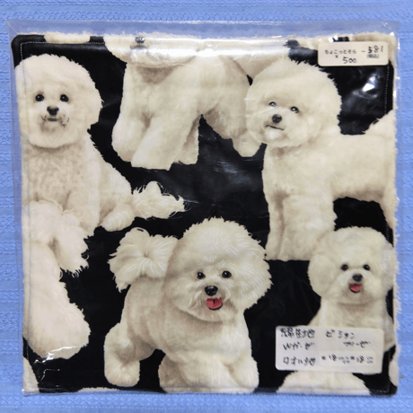 犬種ハンカチ小1️⃣