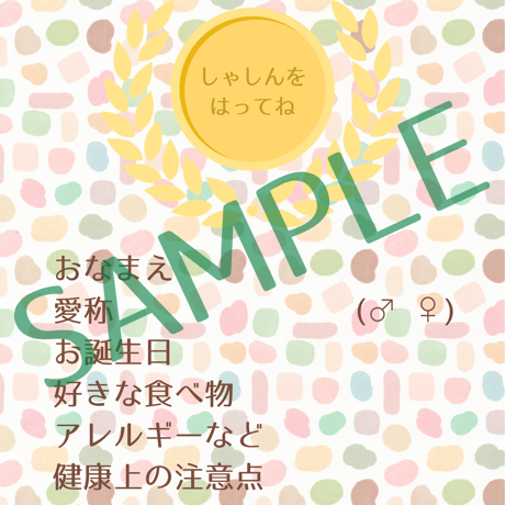 わんこのごはんファイル 各種