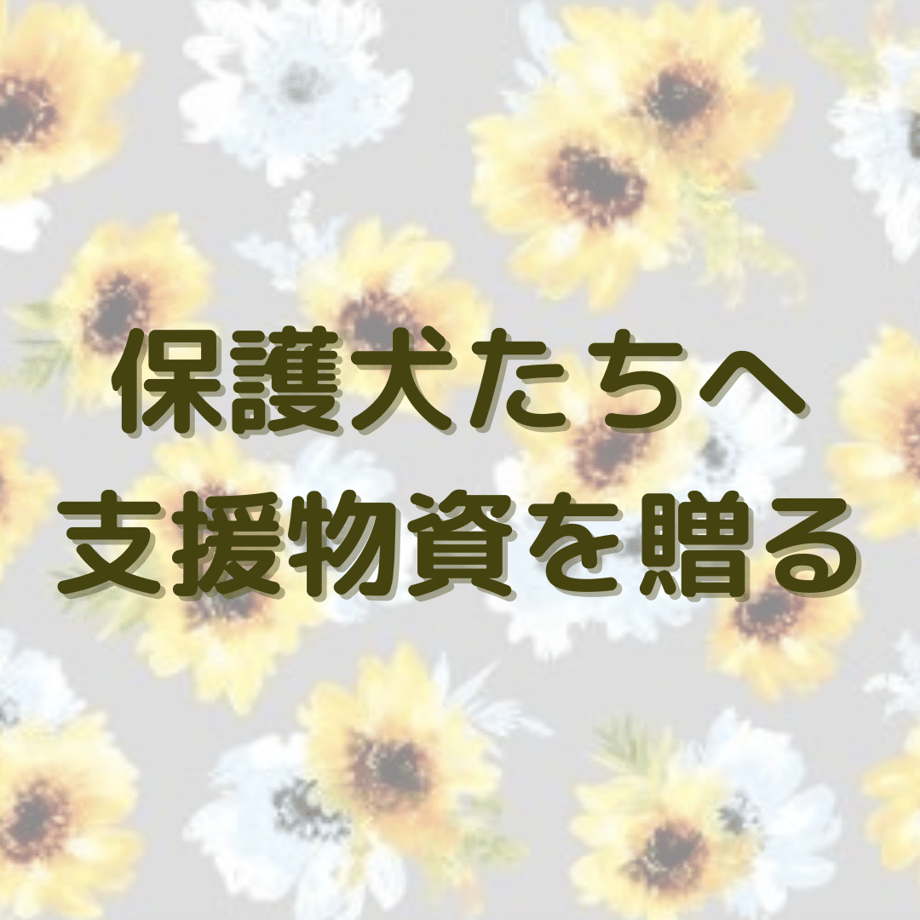6833c545ccd49a0f8b0c3def
