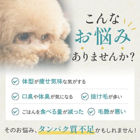さかなまるごと天然だし　各種
