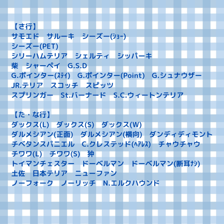 ドライビングプレート　白地➕️紺