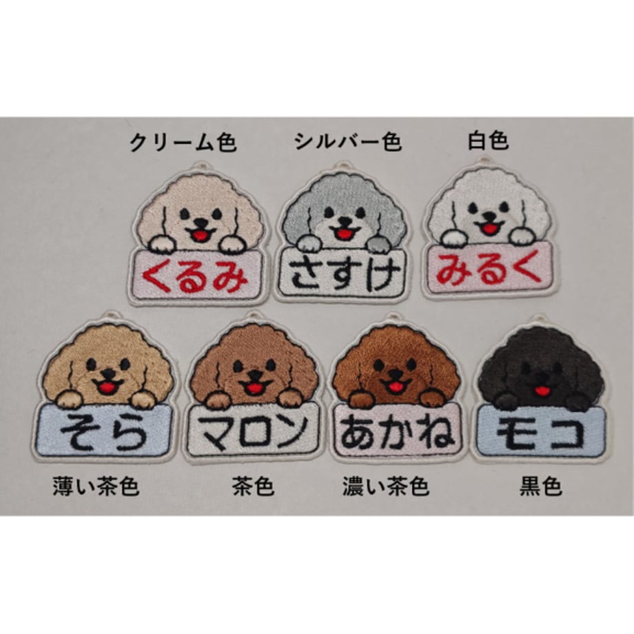 6a0c736a577d5091f7bbd33a
