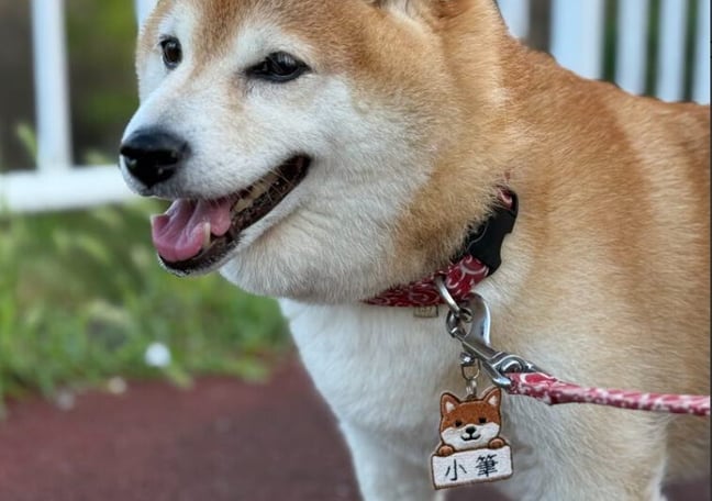 ワン吉