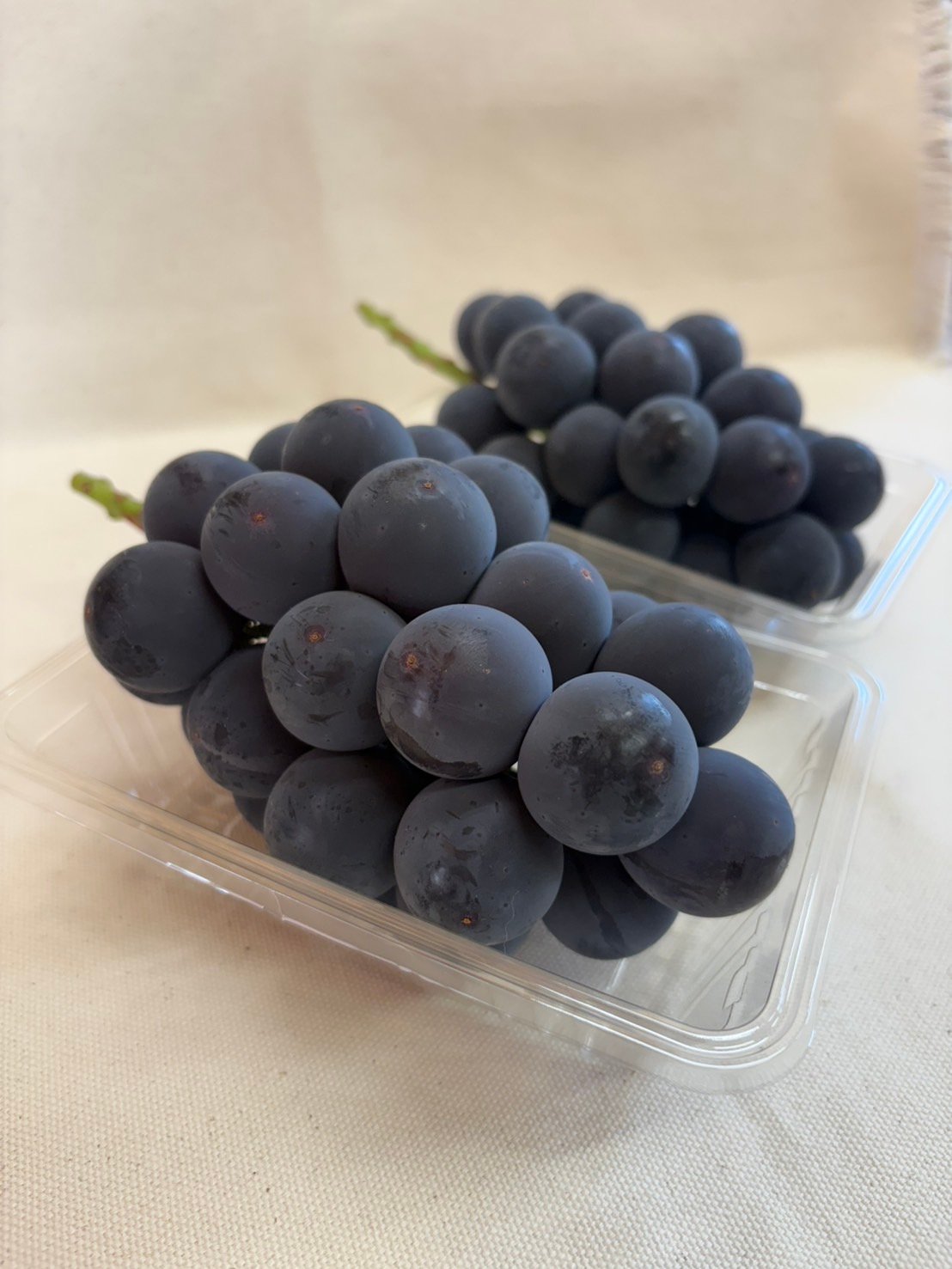 自宅用】種なし 巨峰 2房 | 54s FARM