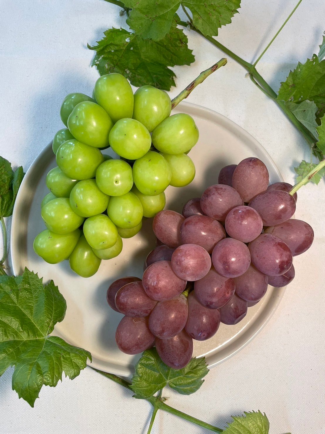 自宅用】シャインマスカット×クイーンルージュ | 54s FARM