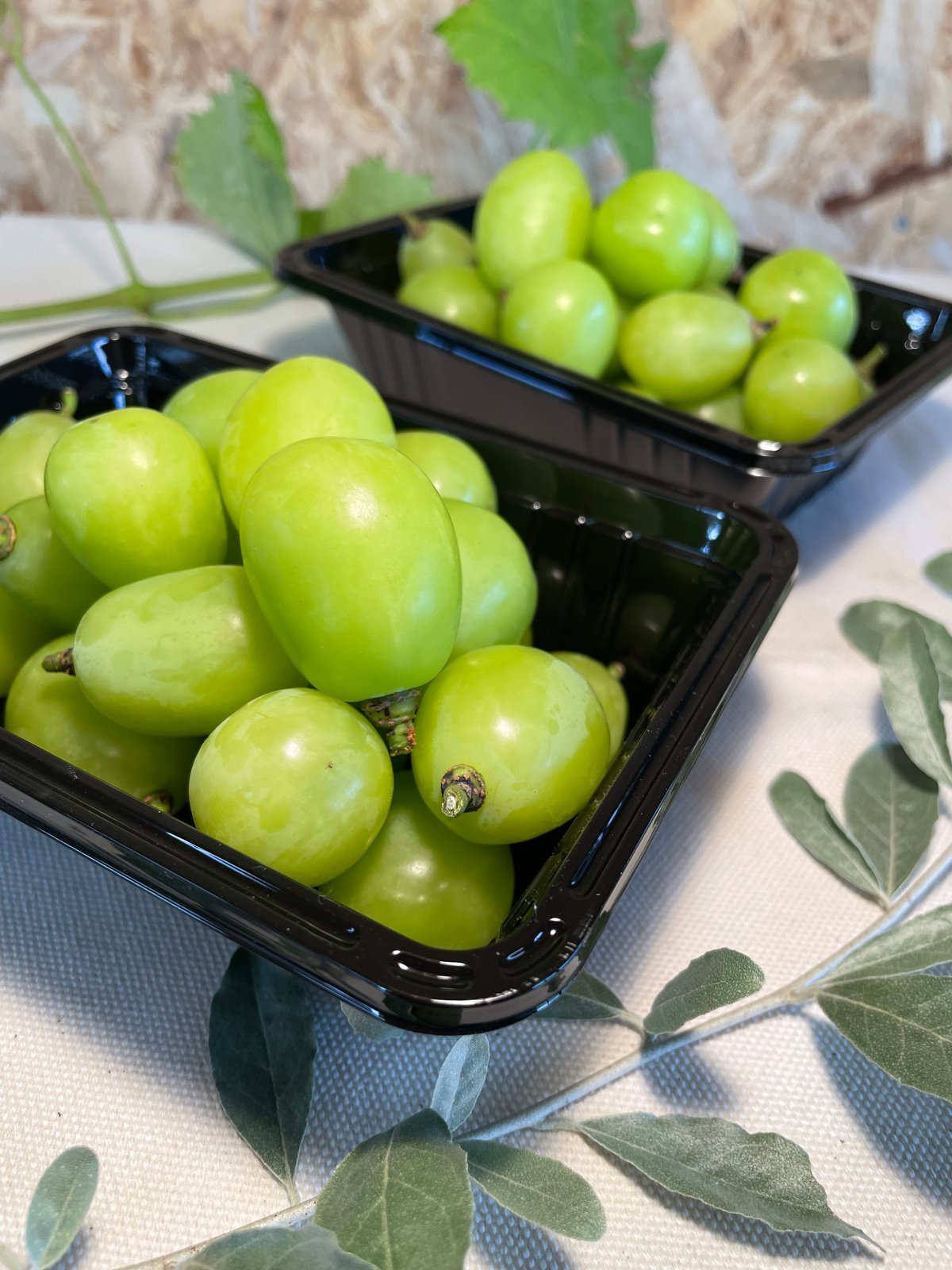 長野県 高山村産】プチっとシャインマスカット | 54s FARM