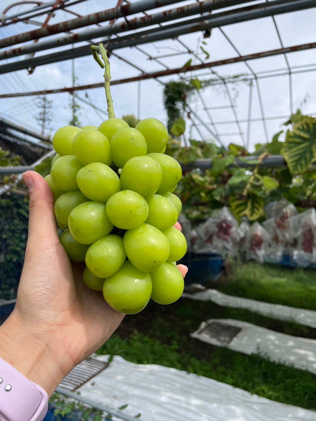 fit=scale-down,w=1200