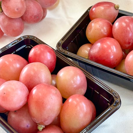 クイーンニーナ | STORES