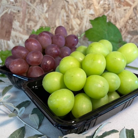 シャインマスカット | STORES