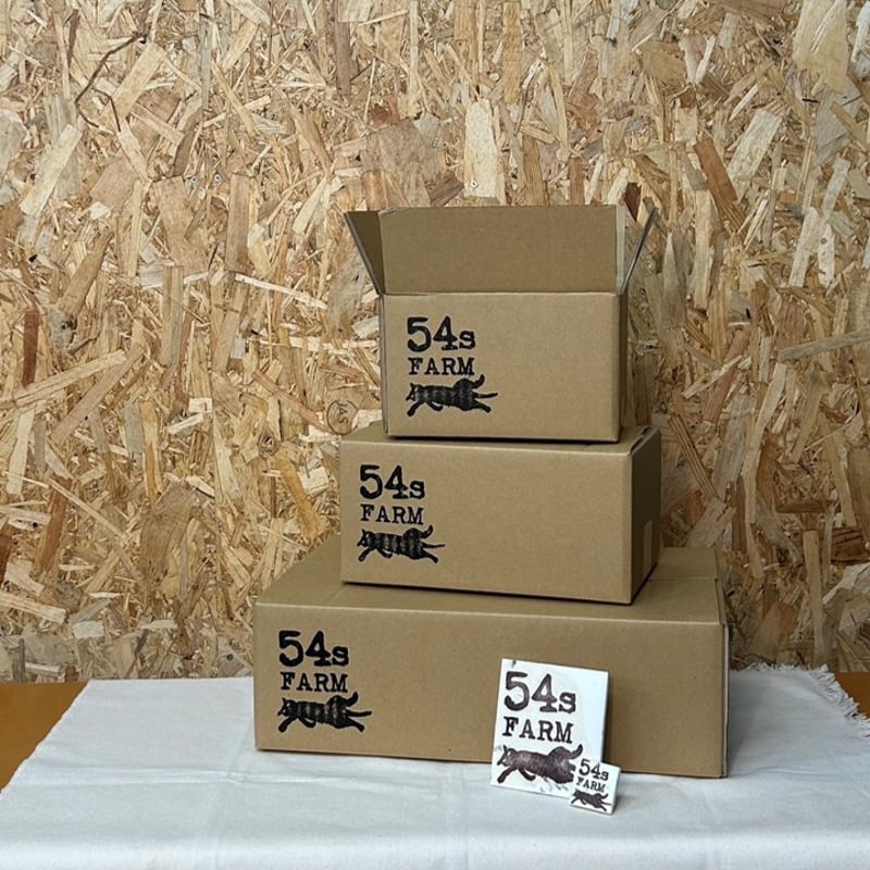 自宅用】シャインマスカット 2房 | 54s FARM