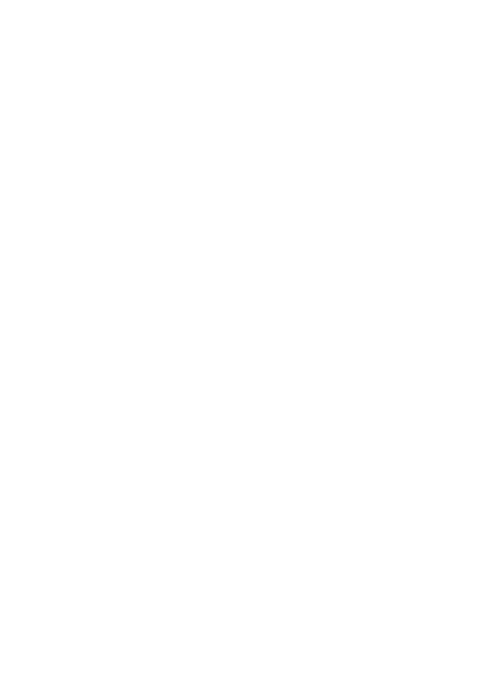 THE ICE HOLIC