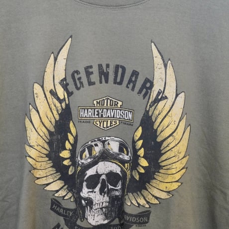 HARLEY-DAVIDSON L/S Tee