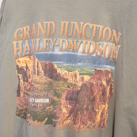 HARLEY-DAVIDSON T-shirt