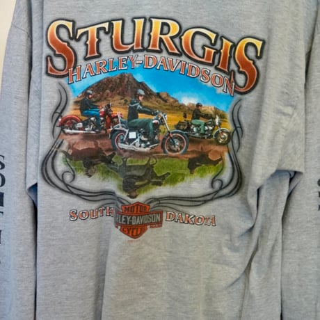 HARLEY-DAVIDSON L/T-shirt