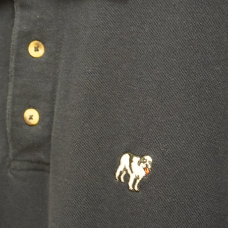 BIG DOGS polo shirt