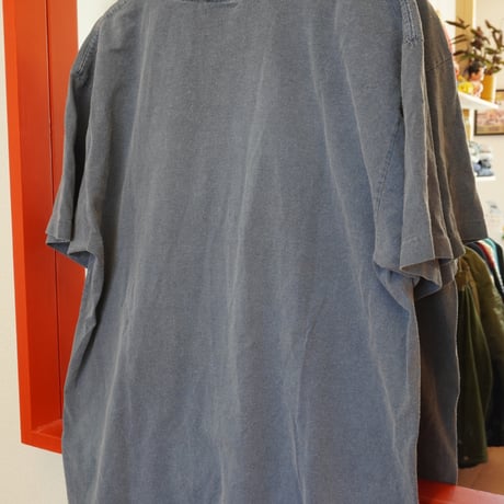 fish  T-shirt