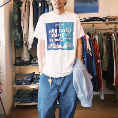 carhartt painter denim