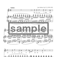 J. シベリウス - J. Sibelius : 口づけの希望 Kyssens hopp