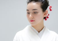 南天の実　- 赤 -