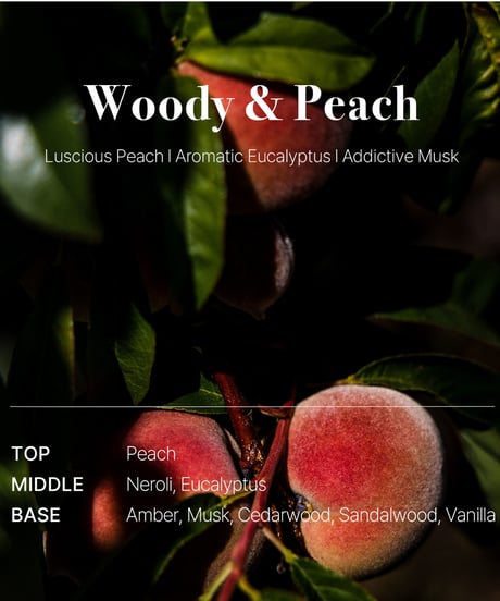 OPTATUM Paper Incnese Woody and Peach｜オプタウム ペーパーインセンス ウッディ&ピーチ 48回分