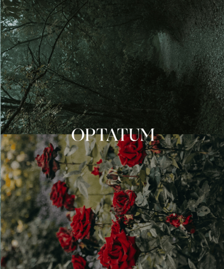 OPTATUM Paper lncnese Discovery set | オプタウム ペーパーインセンス ディスカバリーセット 60回分