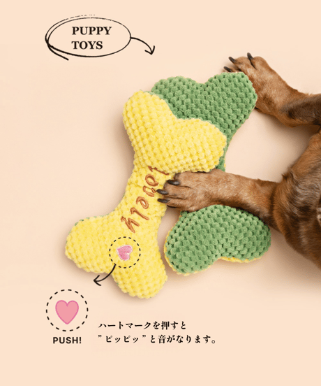 OPTATUM Paper Incnese Pet enjoy set｜オプタウム ペーパーインセンス ペットエンジョイセット 48回分