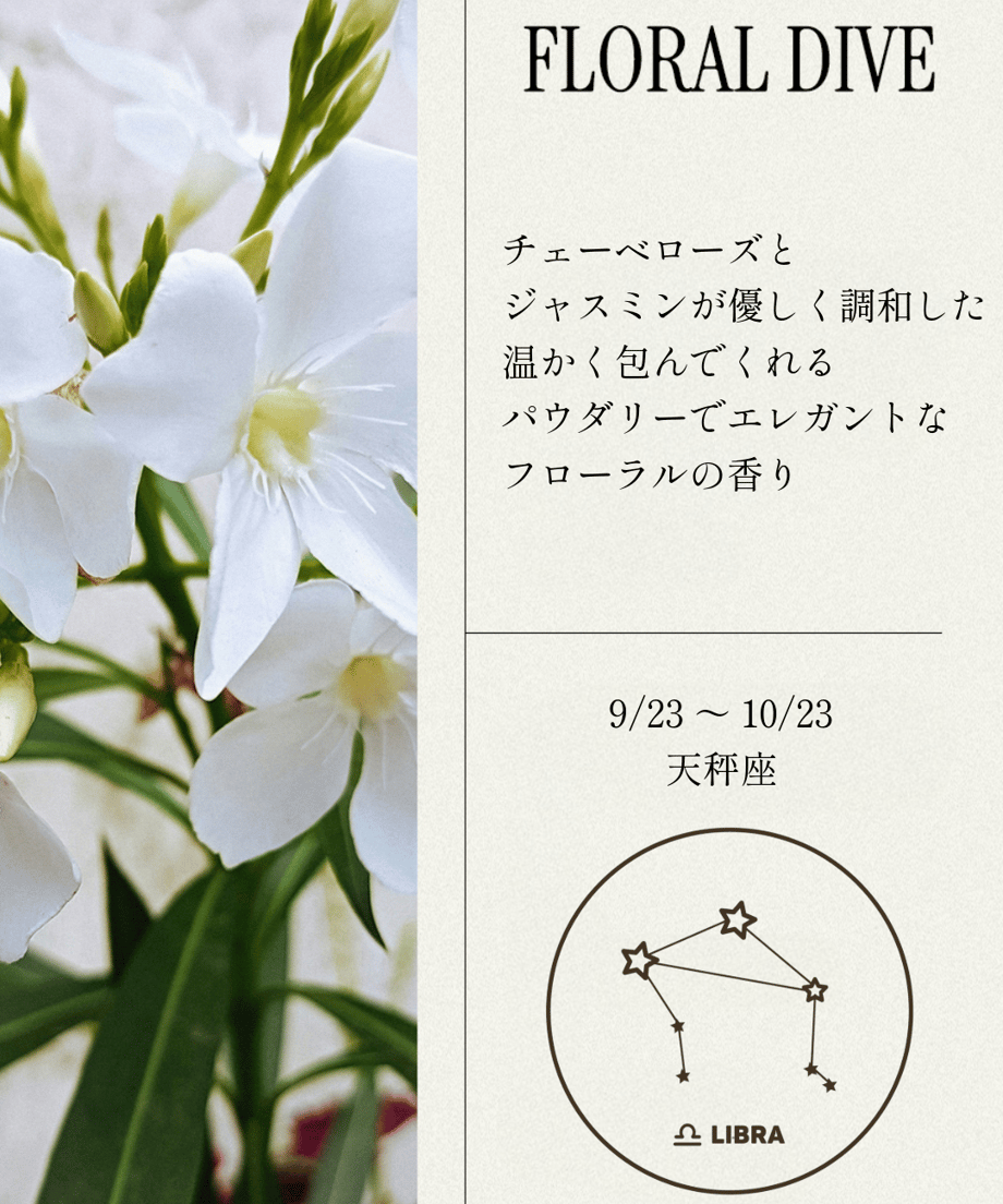 6853a869463f6000010c291e