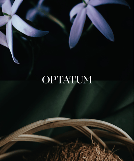 OPTATUM Paper Incnese Midnight Flower｜オプタウム ペーパーインセンス ミッドナイトフラワー 48回分