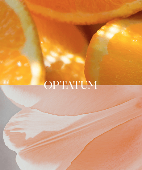 OPTATUM Paper Incnese Jasmine Breeze｜オプタウム ペーパーインセンス ジャスミンブリーズ 48回分